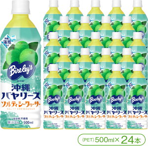 yňꑱ70NIzuo[Xv\eBV[N[T[iPET500ml×24{jyo[X V[N[T[W[X MǑ΍ NG_ z