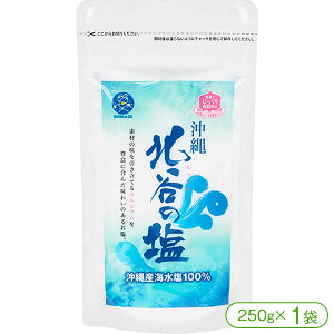 1000円ポッキリ!【低温蒸発濃縮方法で製塩された沖縄の塩!】北谷(ちゃたん)の塩(250g×1袋)【塩 ソルト 食塩 低温蒸発濃縮方法 ミネラル塩 北谷 ちゃたん ナンポー 沖縄】