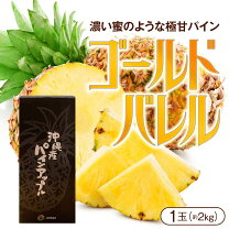楽天市場】ゴールドバレル 石垣島の通販