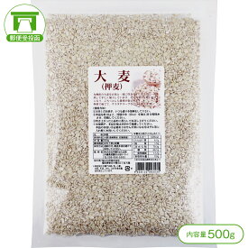 【「やせ菌」ブラウティア菌がテレビ番組でも話題に！】九州産大麦（押麦／500g）【大麦 やせ菌 ブラウティア菌 水溶性食物繊維 レジスタントスターチ スーパーフード 雑穀】