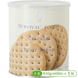 y25Nۑ^HzToCot[YmʁnNbJ[i1ʁjySzy~H H 25Nۑz