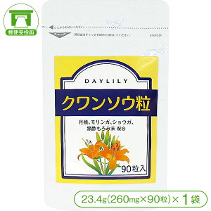 y肩猒NT|[gIzN\Ei23.4g260mg×90×1܁jy葐 j[uCOT   bNX n[u Tv Tvg NHiz