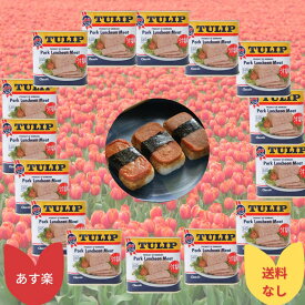 楽天市場 スパム 業務用の通販
