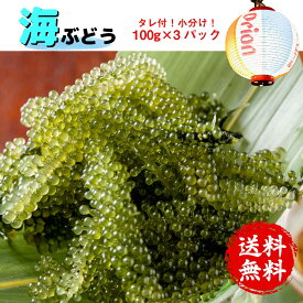 楽天市場 海ぶどう 送料無料の通販