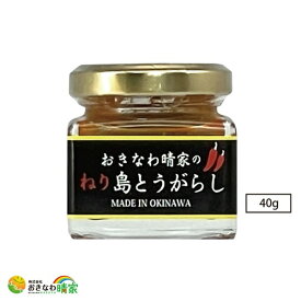 激辛 沖縄産 ねり島とうがらし 40g コーレーグース 泡盛漬け とうがらし 練タイプ 唐辛子 辛味 調味料 香辛料 カプサイシン 人気 売れ筋 沖縄 土産 泡盛 炒め物 焼き鳥 餃子 カレーライス 郷土料理 国産 コーレーグスー おきなわ 晴家