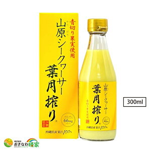 RV[N[T[ t ʏ`100% 300ml Y E Y V[N[T[ t W[X mr` 2{ NG_  ΂Y V[N@[T[ ʎ 炲 Xg[g ߃^C