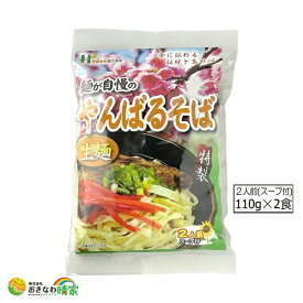 やんばるそば 生麺(太めん) 110g×2食/スープ付 (沖縄土産 沖縄そば 山原そば 2人前 生めん)