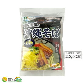 沖縄そば 生麺(細めん) 110g×2食/スープ付 (沖縄土産 沖縄そば 2人前 生めん)