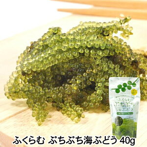 Y ӂ ՂՂ CԂǂ Ђ 40g  c ۑ  n O ~l Lx J[ C v`v`H ܂ yY Y yY 蕨 Y