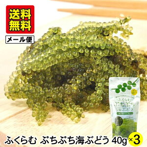 yzY ӂ ՂՂ CԂǂ Ђ 40g×3 [  c ۑ  n O ~l Lx J[ C v`v`H ܂ yY 