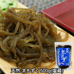 Ί_Y VR   500g Y  tRC_ lC   yY YN C _ 퉷 ۑ Ђ   CY |̕ ĂՂ X[v ݂` 