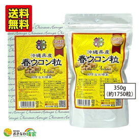 【ポイント10倍 4/25限定】春ウコン 粒タイプ 沖縄県産 春ウコン粒 お徳用 350g 1750粒 栄養 サプリメント 国産 ウコン 春うっちん 粒 お得用 大容量 詰め替え 沖縄産 やんばる ウコン 美容 健康 維持 タブレット サプリ おすすめ 沖縄土産 送料無料 沖縄産春ウコン