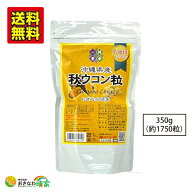 秋ウコン 粒タイプ 沖縄県産 秋ウコン粒 お徳用 350g 1750粒 クルクミン ターメリック サプリメント 国産…
