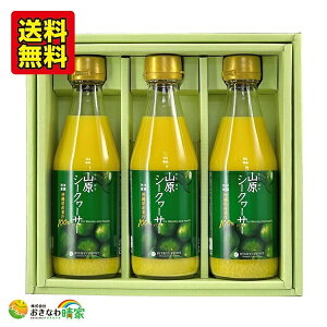 Y V[N[T[ W[X RV[N[T[ ʏ`100% 300ml Mtg p  䒆 蕨 v[g t mr`   ΂ V[N@[T[ ʎ 炲 Xg