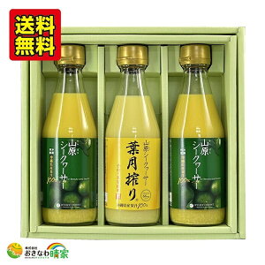 RV[N[T[ E RV[N[T[ t 300ml Mtg p  䒆 蕨 v[g Y V[N[T[W[X t Xg[g ʏ` 100 ߃^Cv mr