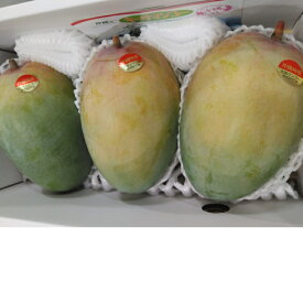 沖縄県産 キーツ マンゴー 2.0kg8月下旬～9月中旬発送