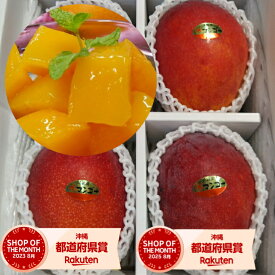 沖縄県産 冷凍完熟アップルマンゴー スライス