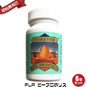 6{Zbg FLP tH[Go[ r[v|X 80