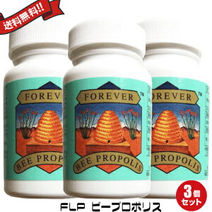 3{Zbg FLP tH[Go[ r[v|X 80