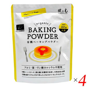 yC[OXӍՁI|Cgő5{Izƌ L@x[LOpE_[ 105g 4Zbg A~t[ ꃊ_JVEsgp L@F فEpޗ