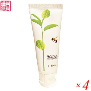 y11/30()IyVJ[hŃ|Cg8{IzGi P 95g 4{Zbg v|X  n~KL 