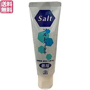 【マラソン限定!100円クーポン!学割2倍!】歯磨き ハミガキ エスケー ヱスケー石鹸 薬用ソルトハミガキ 140g 医薬部外品 送料無料