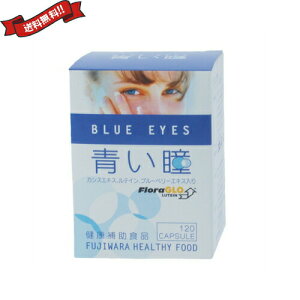 ���e�C�� �T�v�� �r���x���[ �t�W���� ���� BLUE EYES 120��