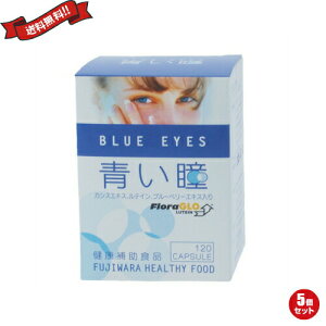 ���e�C�� �T�v�� �r���x���[ �t�W���� ���� BLUE EYES 120�� 5�Z�b�g