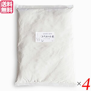 yX[p[SALEI100~N[|Iw2{Iz ͕ Y ΉP҂ kCYXyg ͕ S 1kg 4Zbg