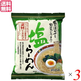 【スーパーSALE！ポイント6倍！】インスタントラーメン ラーメン 袋麺 創健社 塩らーめん 102g 3個セット 送料無料