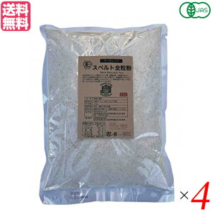 y11/10()IyVJ[hpŃ|Cg9{IzXyg Xyg I[KjbN L@XygS 1Kg 4܃Zbg ב 