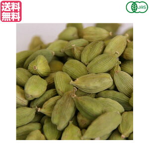 y11/25()IyVJ[hŃ|Cg8{IzJ_ z[ L@ Ɩp VOXSPICE I[KjbNJ_V[h500g 