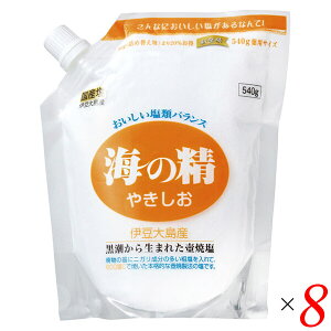 yX[p[SALEI100~N[|Iw2{Iz VR V C̐ ₫iX^hpbNj540g 8Zbg 