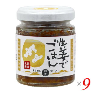 マルシマ 生姜でごはん 70g 9個セット 佃煮 ショウガ 国産