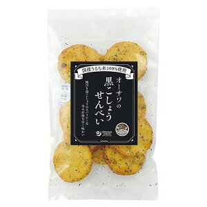 y}\I|Cg2{I100~N[|IzI[T̍傤ׂ 10  Y  Ӟ