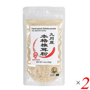 �y�労�ӍՁI�|�C���g�ő�10�{�I100�~�N�[�|���I�z���{���X ��B�Y�{�i�ő��� 40g 2�Z�b�g �V�C�^�P �p�E�_�[ ����