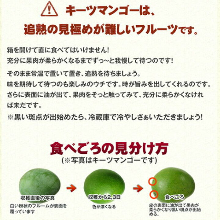 楽天市場】マンゴー レッドキーツ 沖縄 キーツマンゴー 赤 沖縄 