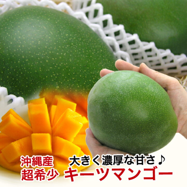 楽天市場】キーツマンゴー 沖縄 マンゴー 大玉 沖縄マンゴー 【600g 
