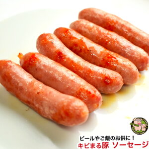  т܂ Ⓚ \[Z[W o[xL[  BBQ y20g×6{z
