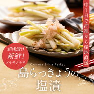 島らっきょう 塩漬け 塩らっきょう 沖縄 グルメ 250g 【島とうがらし味】