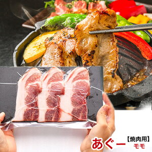 AO[ [ ē  O  XCX y500g 2`3lO/100g×5z