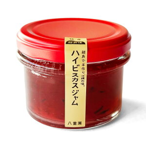 nCrXJXW 80g  d Mtg XC[c jam yY yY 񂹃O ʎ t[c rl Wr  Ԃ lC 