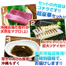 楽天市場 ソデイカ 冷凍 刺身の通販