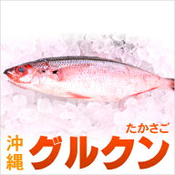 グルクン（タカサゴ）約1kg(5匹前後）