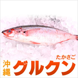 楽天市場 沖縄 グルクン 刺身の通販