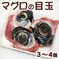 マグロの目玉　（3〜5個）受注後加工いたします。