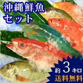 【送料無料】 おまかせ沖縄鮮魚セット3kg（2〜3種類）