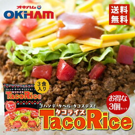 タコライス 3食入 240g 【3個セット/9食分】送料無料 レターパック HOTソース付 沖縄お土産 沖縄 お土産 グルメ 土産 タコス 人気 定番 ご当地グルメ 食品 メキシカン おみやげ ご飯のお供 タコライスの素 沖縄ハム レシピ