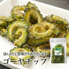 ゴーヤチップ 63g 送料無料 送料込み 野菜チップス 苦瓜 ゴーヤ お菓子 スナック菓子 おつまみ チャック付