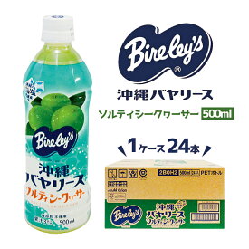 沖縄お土産 バヤリース沖縄 ソルティシークヮーサー (500ml)×1ケース(24本入) 送料無料 沖縄 お土産 土産 グルメ 沖縄土産 シークヮーサー シークワーサー バヤリース プレゼント ギフト 人気 定番 ご当地グルメ ジュース ドリンク 沖縄ドリンク お取り寄せ 贈り物